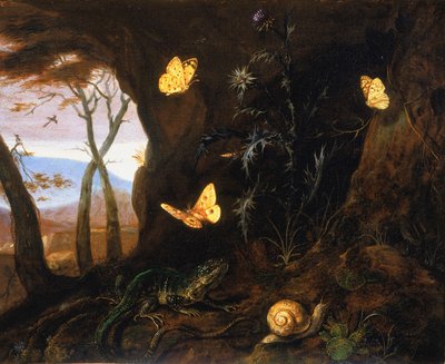 Small reptiles and butterflies in a corner of the woods by Otto Marseus  van Schrieck